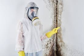 Professional Mold Prevention & Removal  in Eagleville, PA